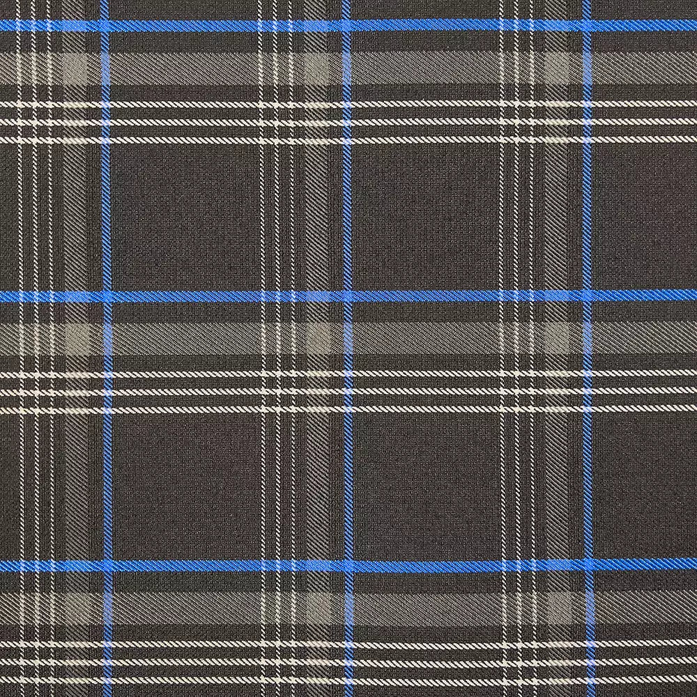 Tartan - Blue Sample
